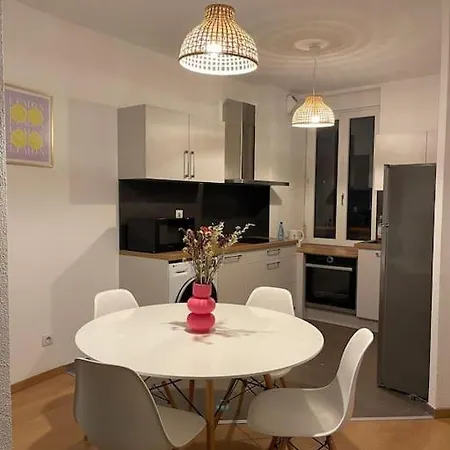 Apartment Hyper Centre - Grand T3- Aux Bons Enfants Mulhouse